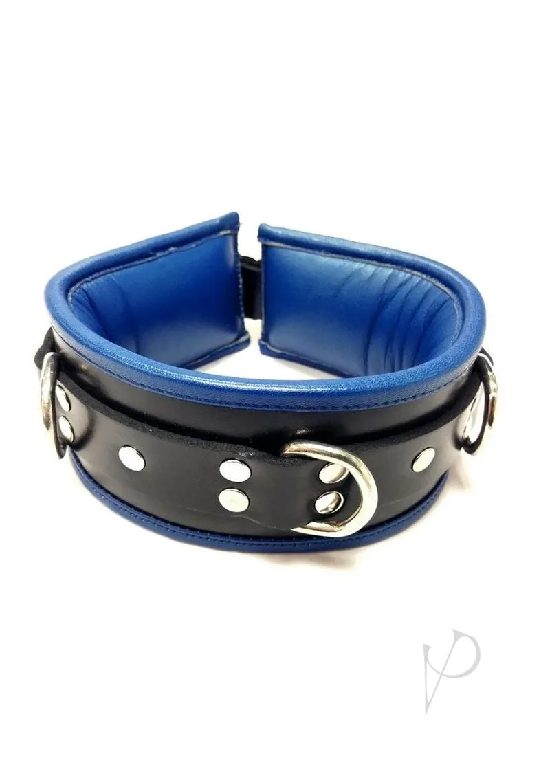3-ring Padded Collar Blk/blu