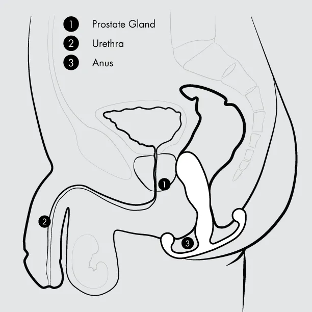 Aneros Vice 2 Vibrating Remote Control Hands-Free Prostate Stimulator