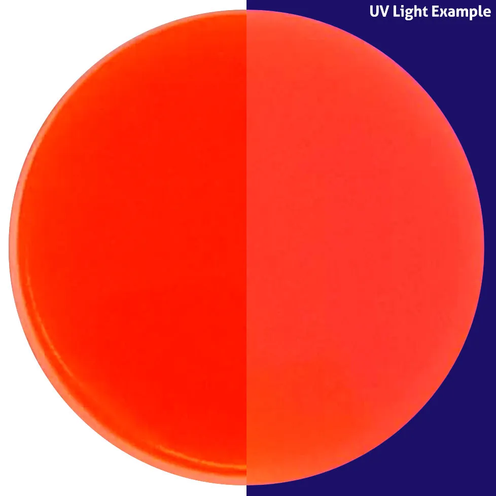 Double-Sided Suction Cup