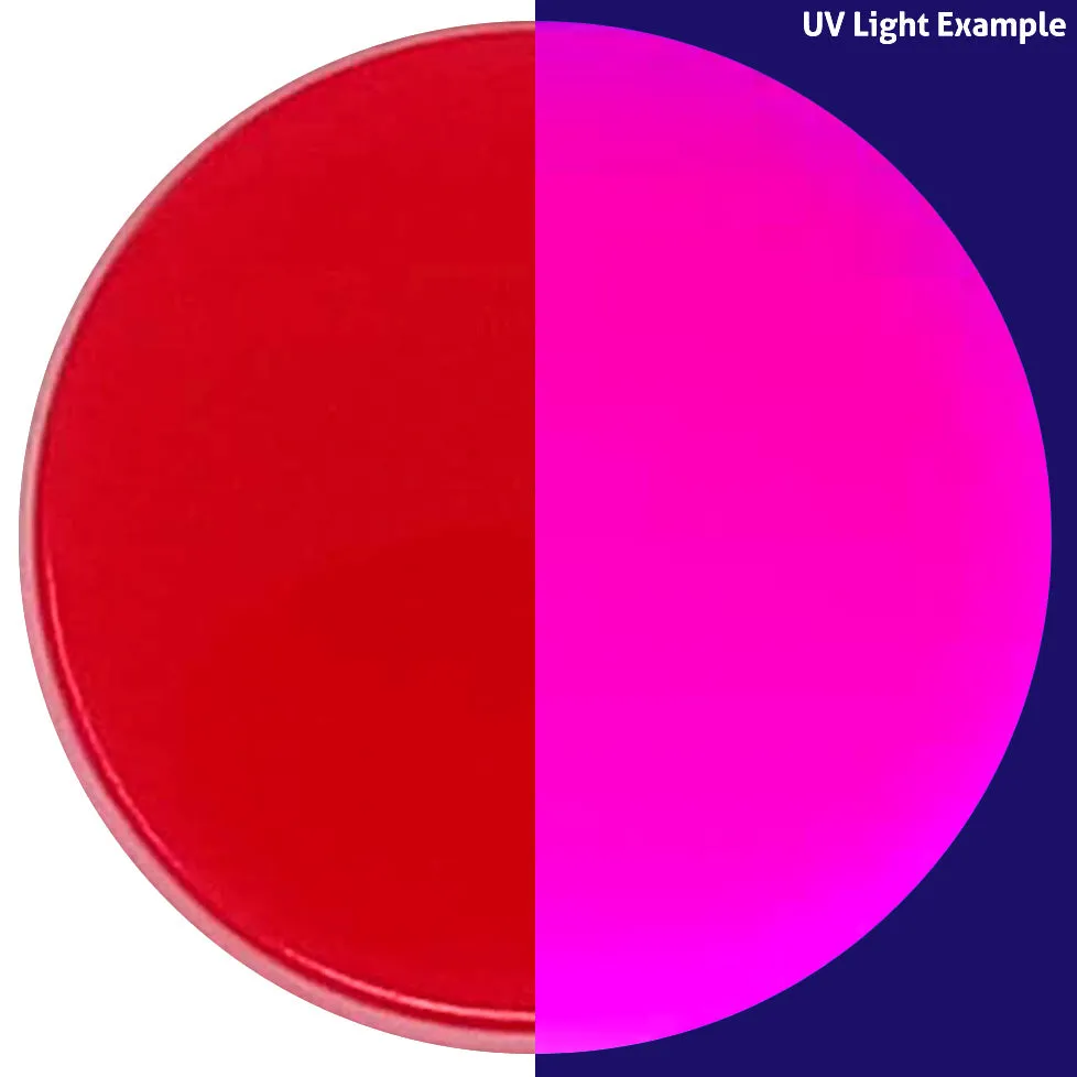 Double-Sided Suction Cup