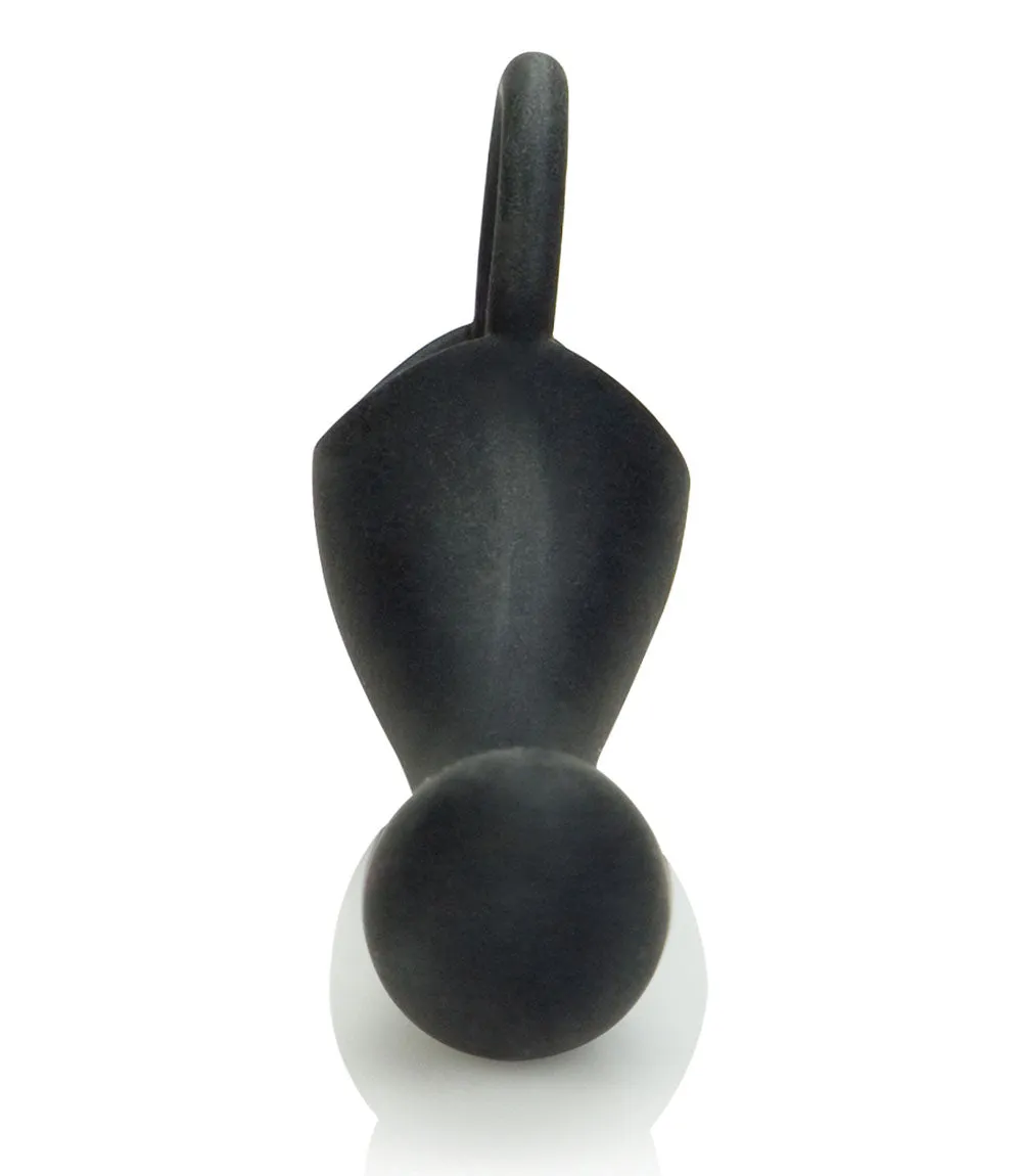 Dr. Kaplan Prostate Massager