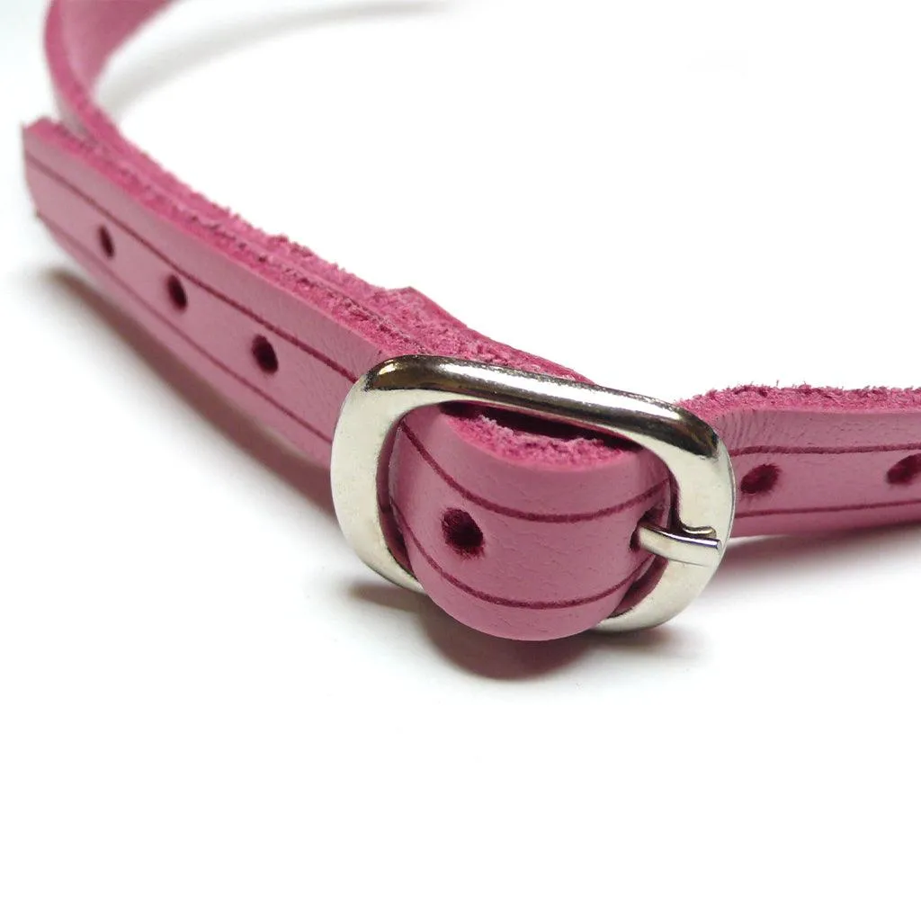 Pink Ball Gag