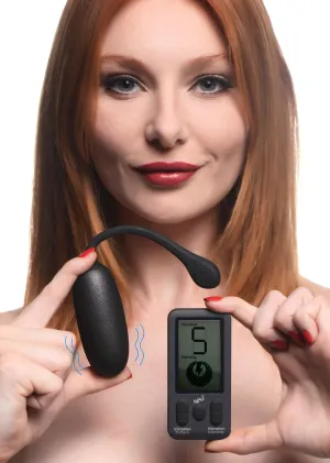 Plush Egg With Digital Remote Control