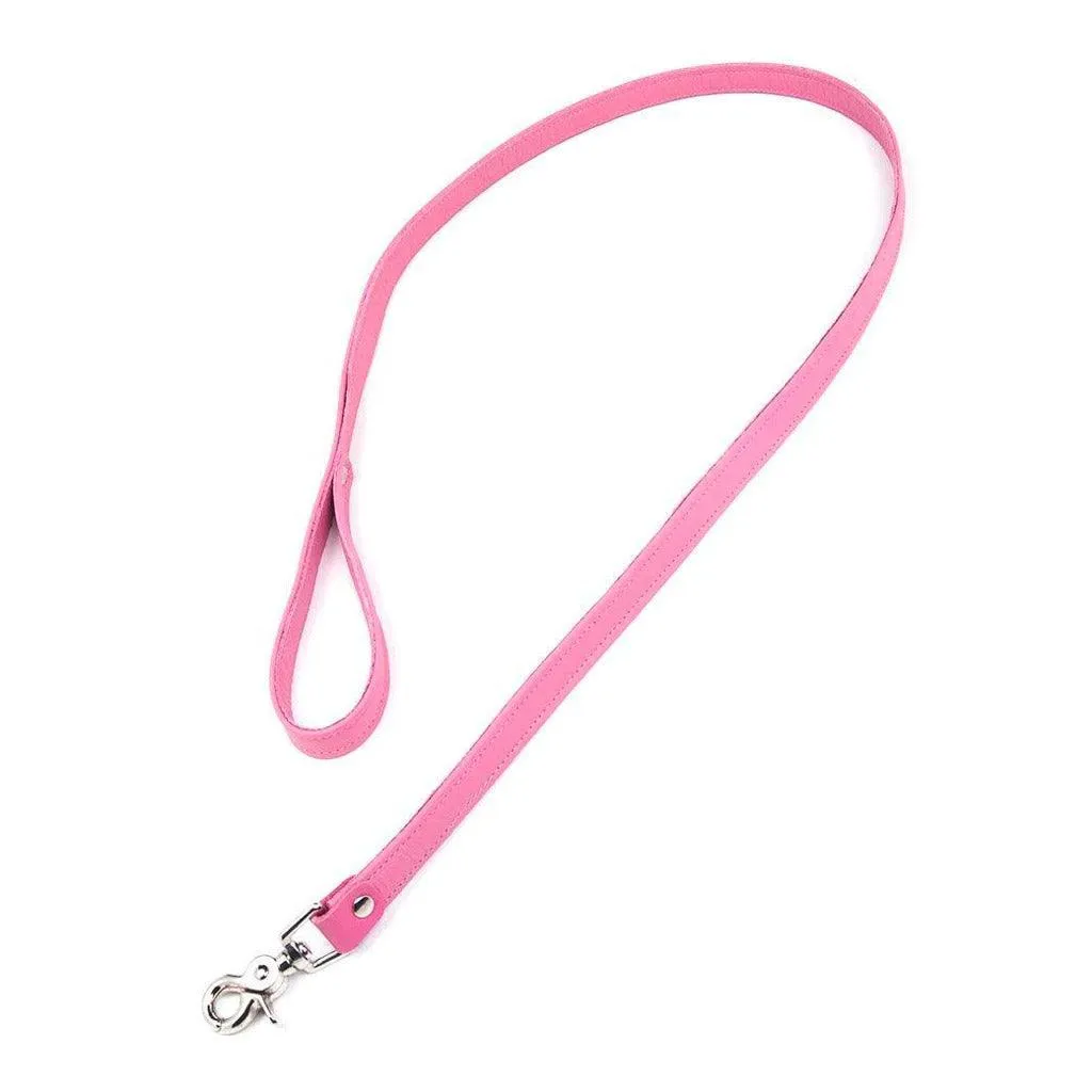 Premium Garment Leather Leash. 4'