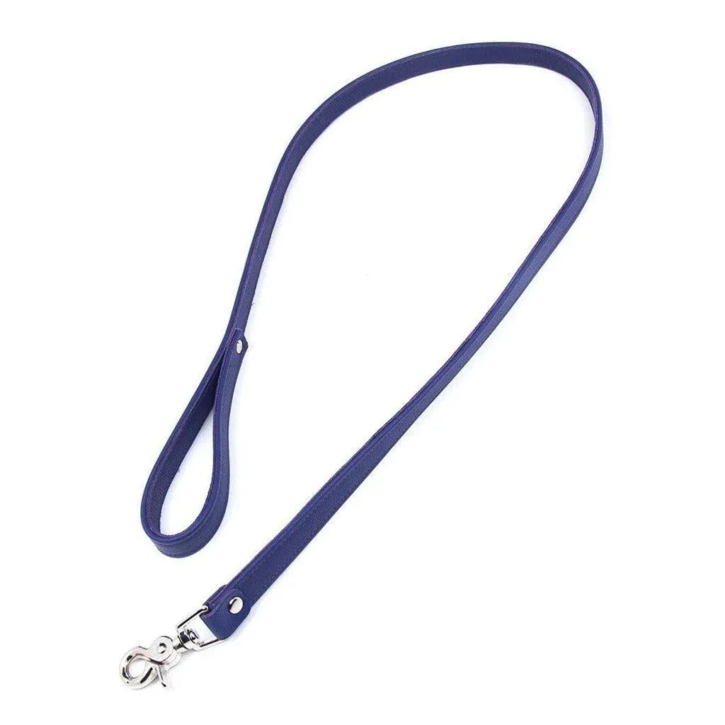 Premium Garment Leather Leash. 4'