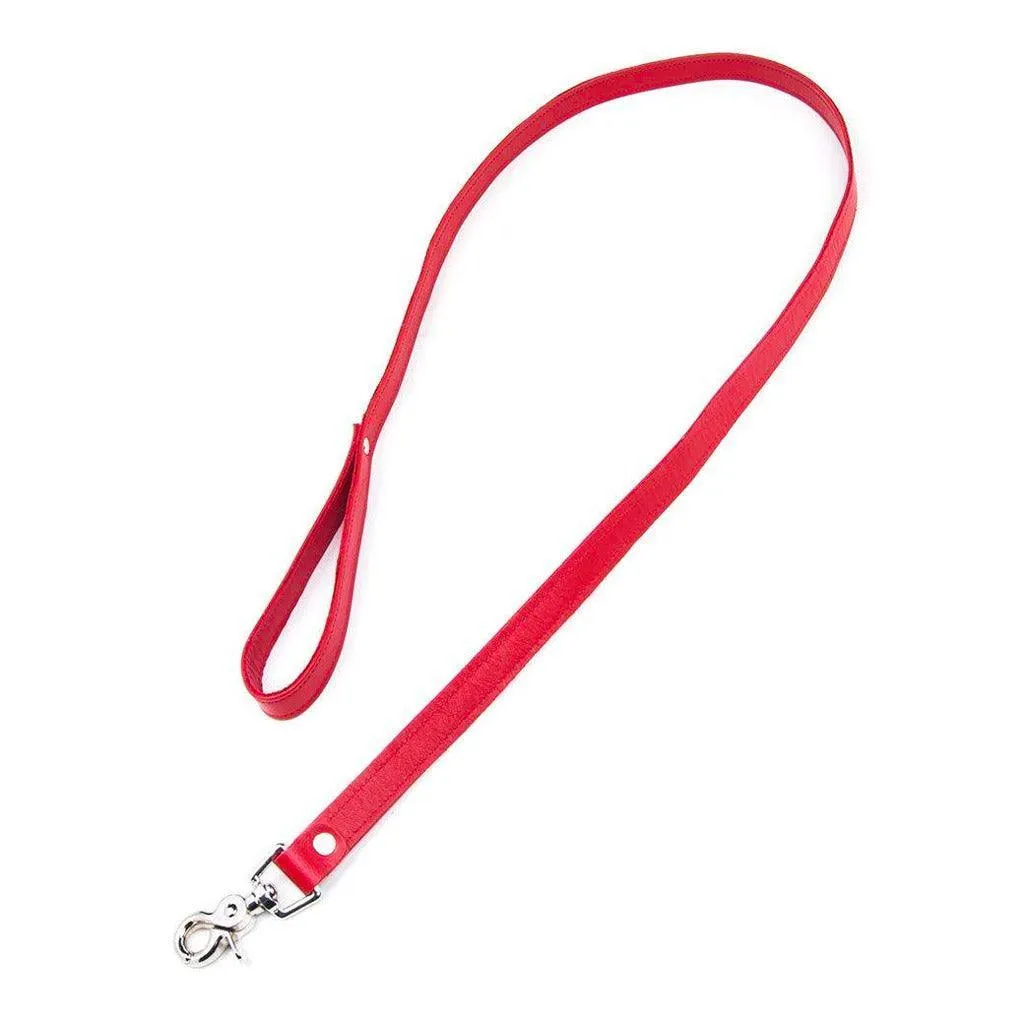 Premium Garment Leather Leash. 4'