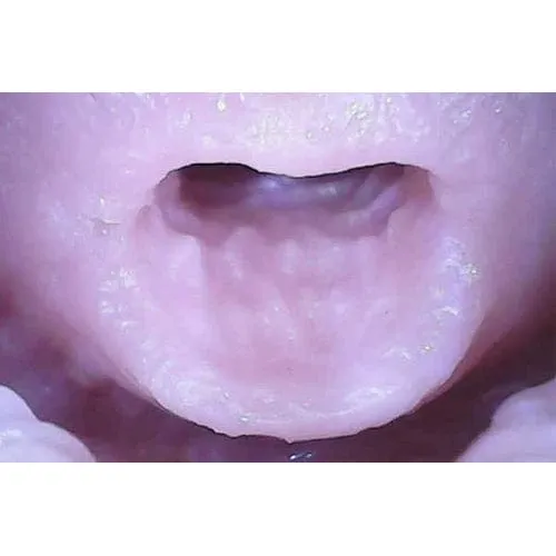 Tomax - Dolphin! Masturbator Onahole (Beige)